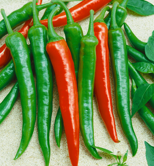 Hot Peppers