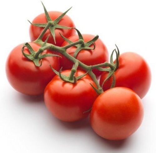 SAVORANA F1