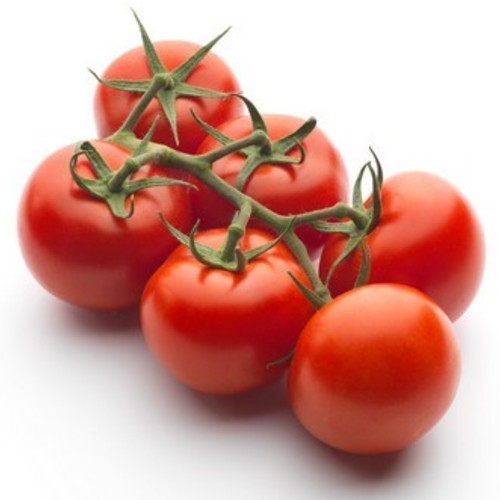 SAVORANA F1