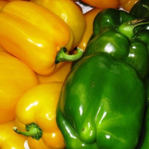 Sweet Peppers
